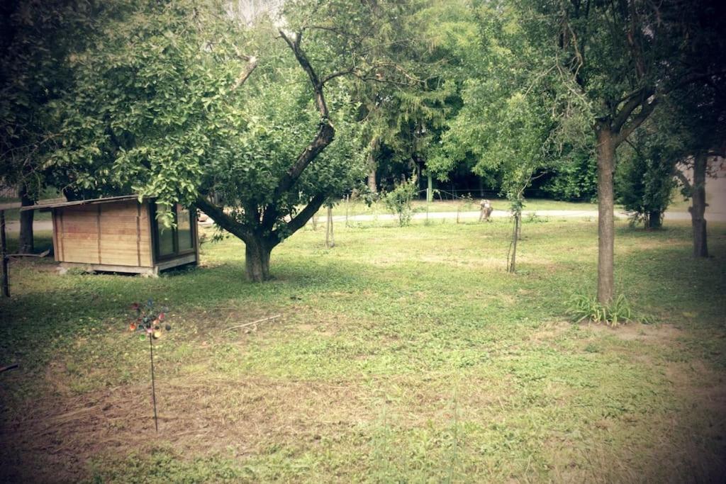 Ferienwohnung Im Gruenen Gottenheim Exteriör bild