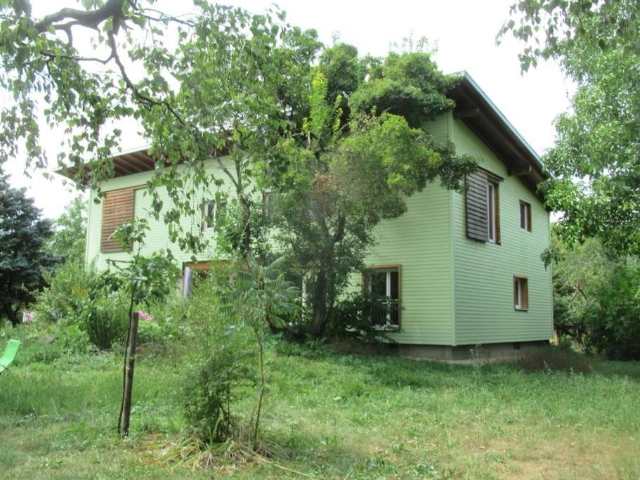 Ferienwohnung Im Gruenen Gottenheim Exteriör bild