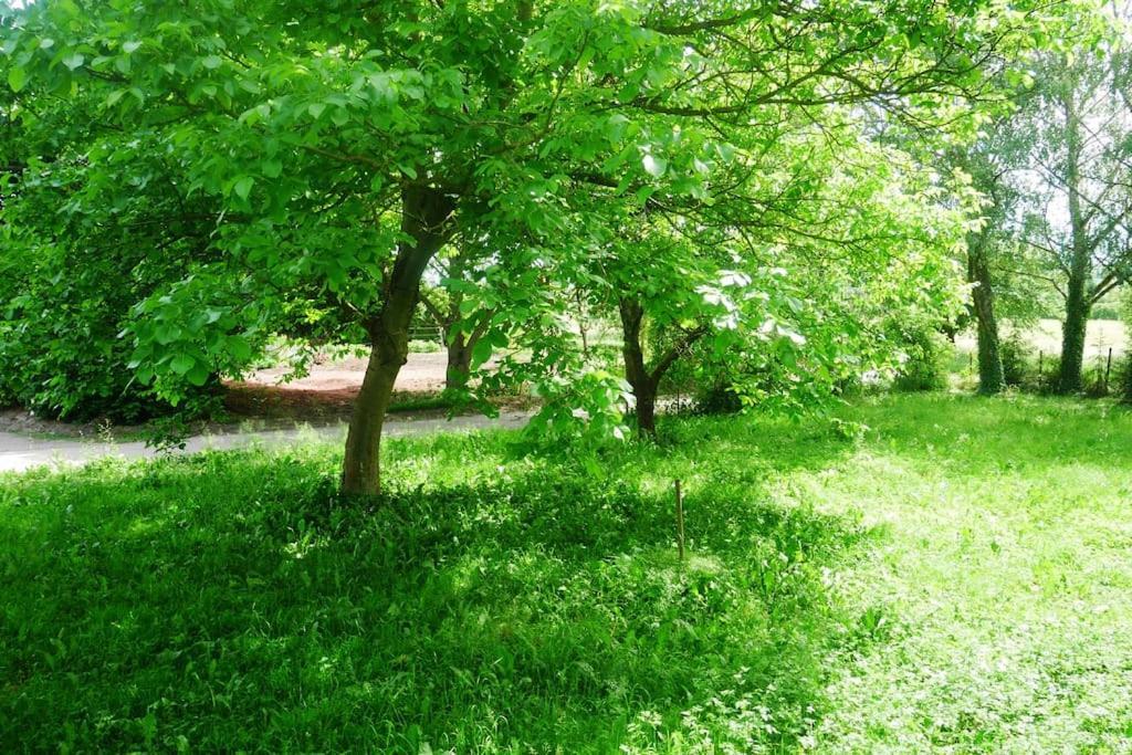 Ferienwohnung Im Gruenen Gottenheim Exteriör bild