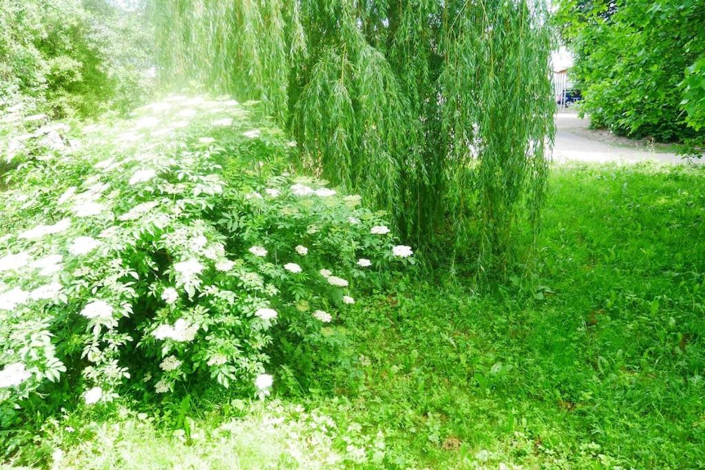 Ferienwohnung Im Gruenen Gottenheim Exteriör bild
